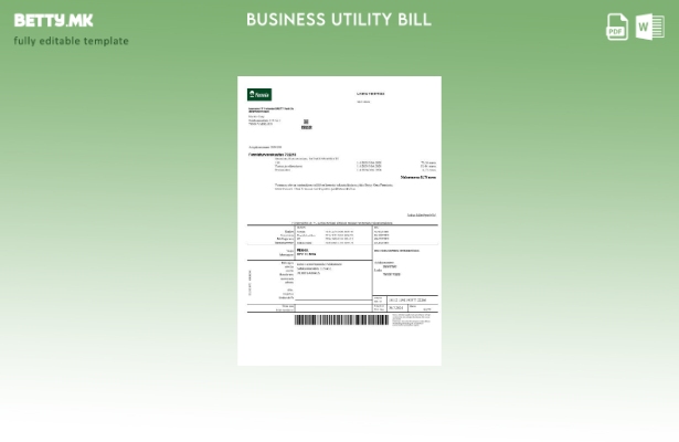 модерен стил Шаблон за деловна сметка за осигурителна компанија Финска Fennia